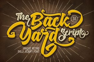 The Backyard Script – Retro Bold Font