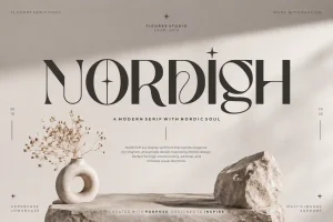 Nordigh – Serif Display Font