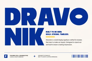 Dravonik – Bold Display Sans Serif